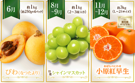さぬき旬のフルーツ満足 5回定期便 | 果物 フルーツ 青果 青果物 いちご みかん シャインマスカット びわ さぬきひめ 小原紅早生みかん マスカット なつたより 不知火 旬の果物 季節の果物 贈答