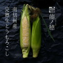 【ふるさと納税】南信州産 完熟生とうもろこし 約5kg(10本～14本)【配送不可地域：離島】【1511503】