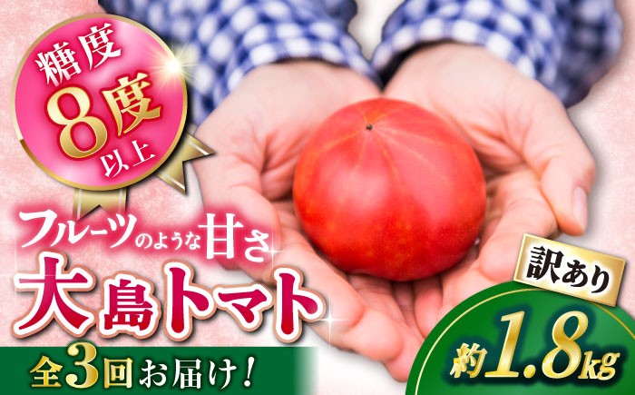 
                  【2027年2月中旬より発送開始：先行予約】【3回定期便】 訳あり 大島トマト 約1.8kg 高糖度 トマト tomato ＜大島造船所 農産グループ＞ [CCK008] 長崎 西海 トマト とまと 大島トマト 高糖度 贈答 トマト とまと tomato トマト サラダ 大島トマト 高糖度 甘い とまと トマト 野菜 訳あり WAKEARI わけあり トマト とまと サラダ 高糖度 大島トマト
                