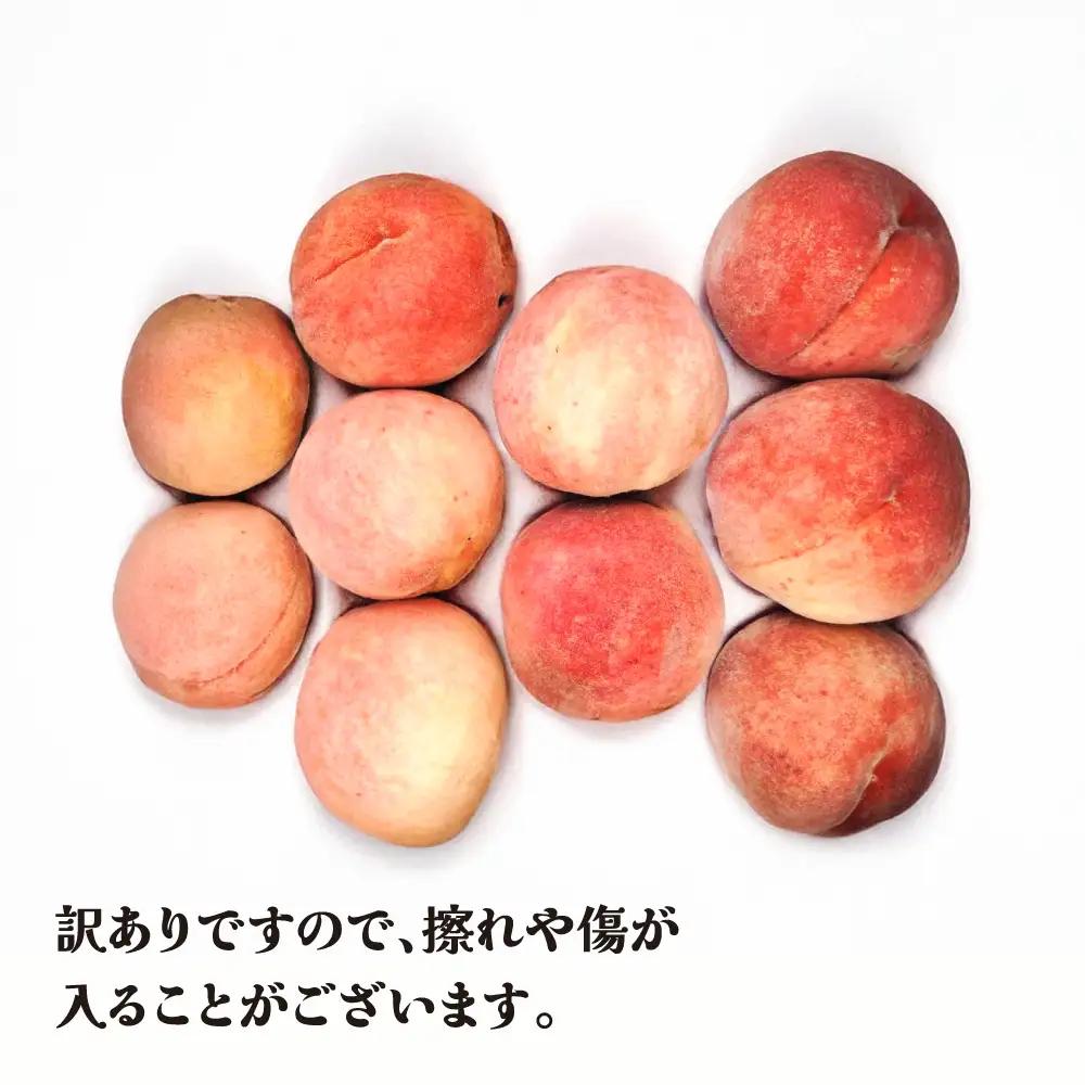 先行予約 訳あり 山形県産白桃 無印品 約5kg (10-20個程度)  令和8年産 sb-mohtw5-b