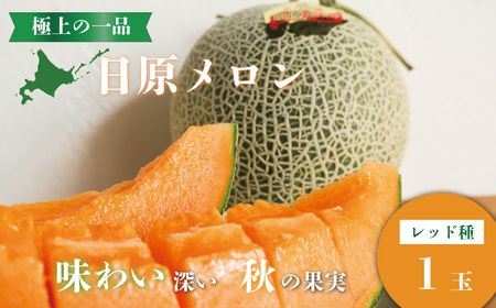 極上の一品「日原メロン（レッド種）」（1.7kg相当×1玉 ）