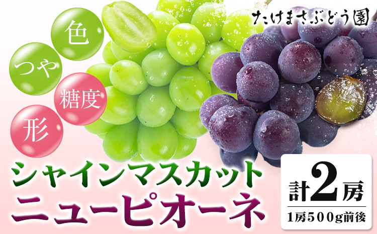 
                  【2026年先行予約】ニューピオーネ 1房 シャインマスカット 1房 500g 前後 たけまさぶどう園 先行予約《2026年8月上旬-10月中旬頃出荷》岡山県 浅口市 フルーツ デザート おやつ マスカット ぶどう 果物 国産 岡山県産 くだもの 青果物 送料無料【配送不可地域あり】(離島)
                