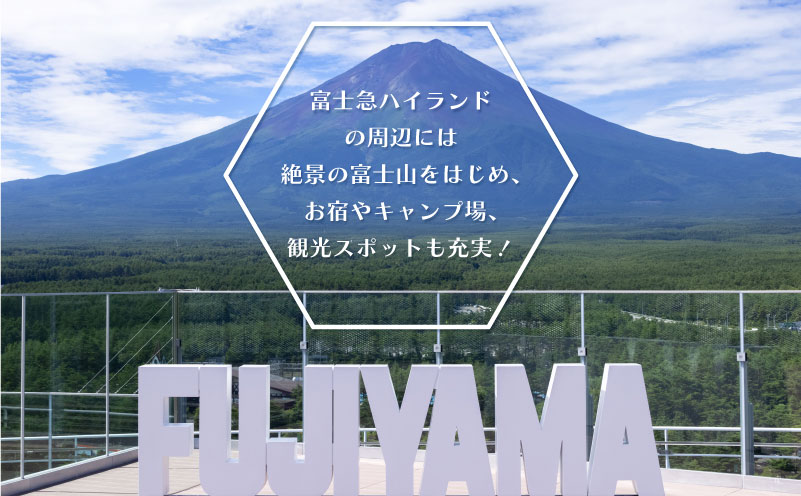 富士急ハイランド フリーパスペアご招待券　遊園地 招待券 チケット 富士急 ハイランド ペアチケット 山梨
