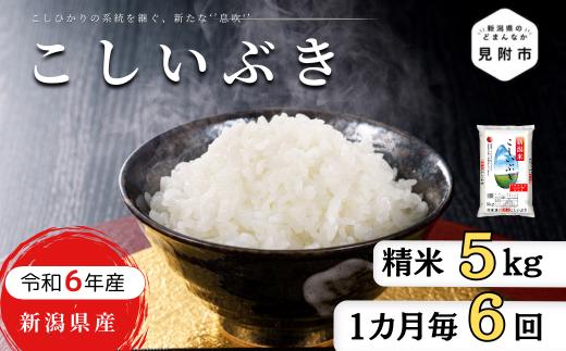 米 定期便 5kg×6か月 (計 30kg) 新潟県産 こしいぶき 令和6年産 精米したてをお届け 新潟のど真ん中 見附市