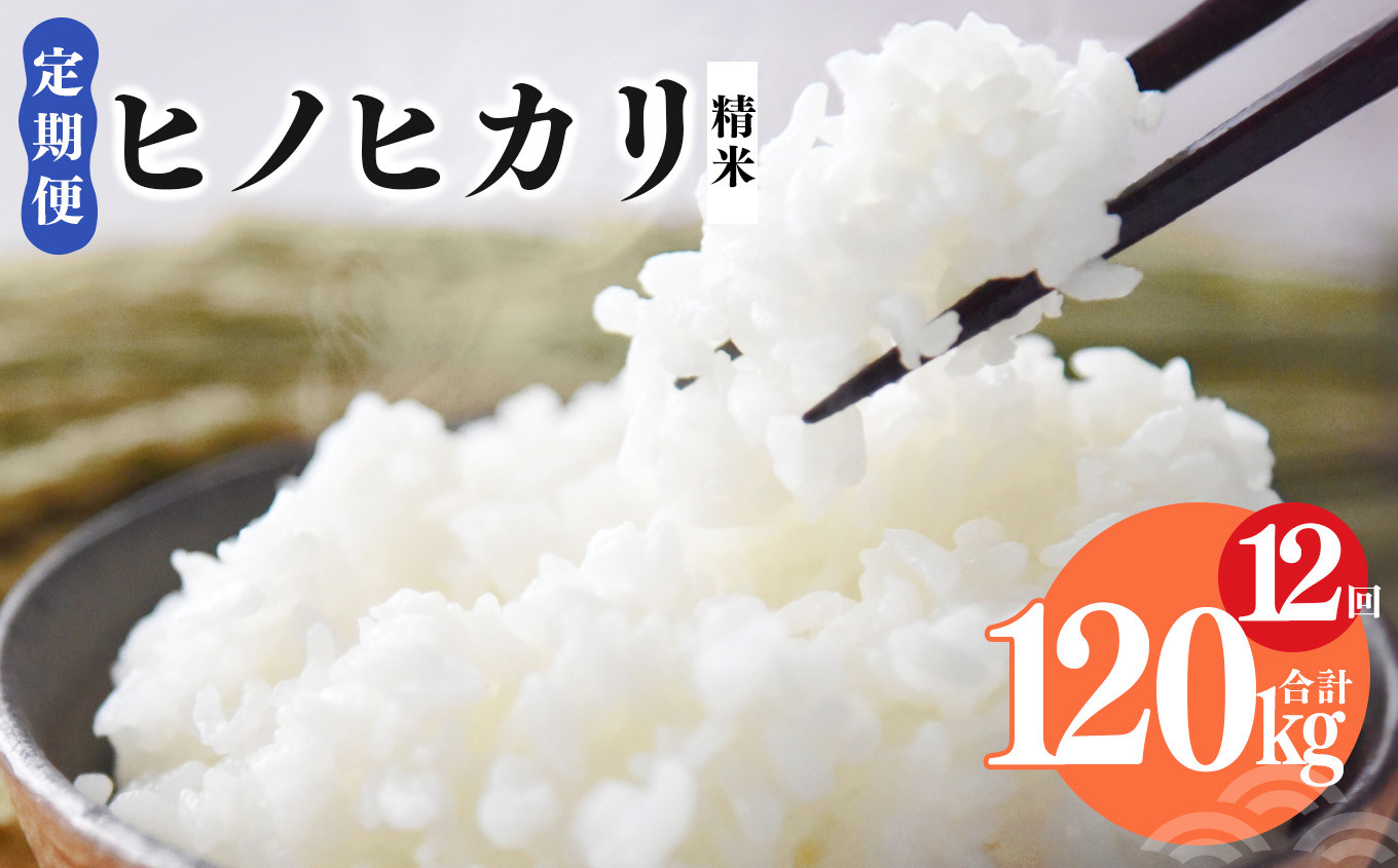 
N10 【定期便】奈良県産 ヒノヒカリ 精米 10kg × 12回 合計 120kg (12回お届け)
