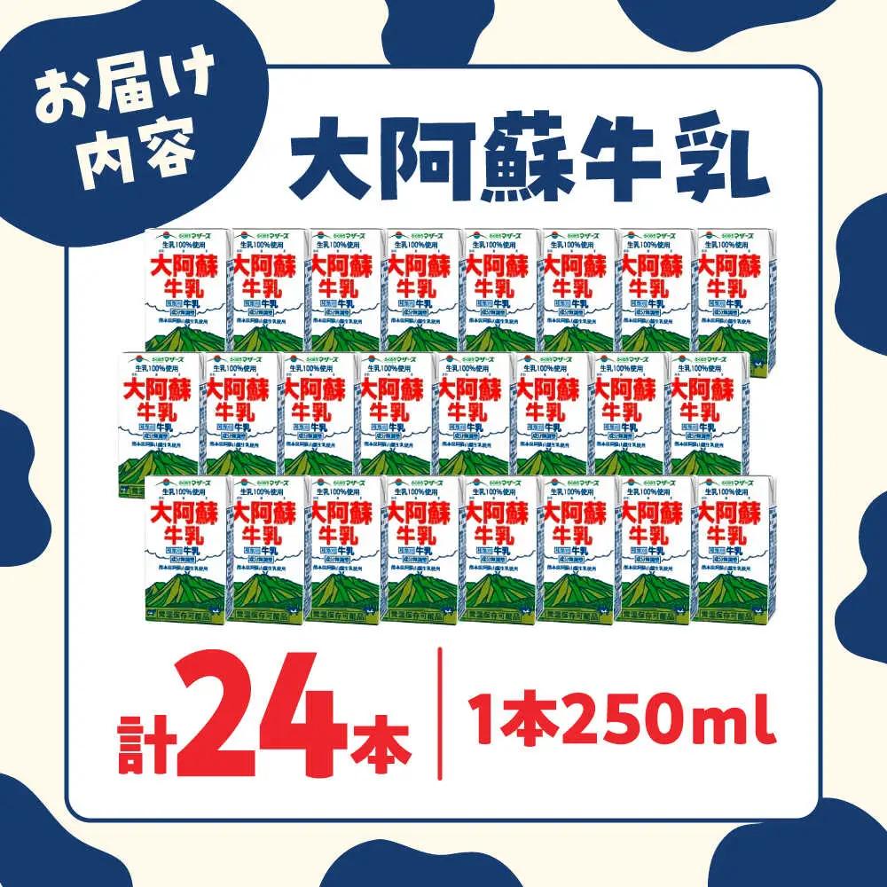 大阿蘇牛乳 250ml×24本入 牛乳[AYAB021]