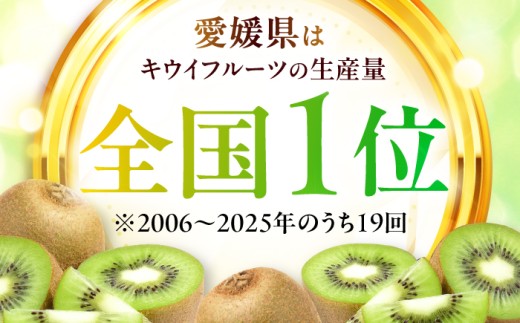 食品 果物 フルーツ おやつ デザート キウイ ジュース スムージー ヨーグルト 贈答品 ギフト プレゼント