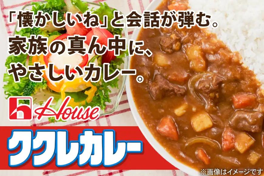 ハウス ククレカレー 辛口 180g 10個