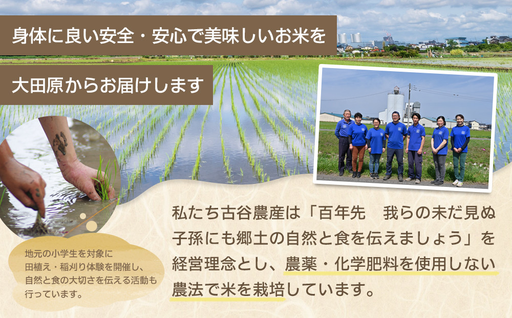 【令和7年産米 数量限定】古谷農産の無農薬・無化学肥料で栽培したコシヒカリ（玄米2キロ） ｜米 コメ 新米 2kgコシヒカリ こしひかり 農家直送 産地直送 産直