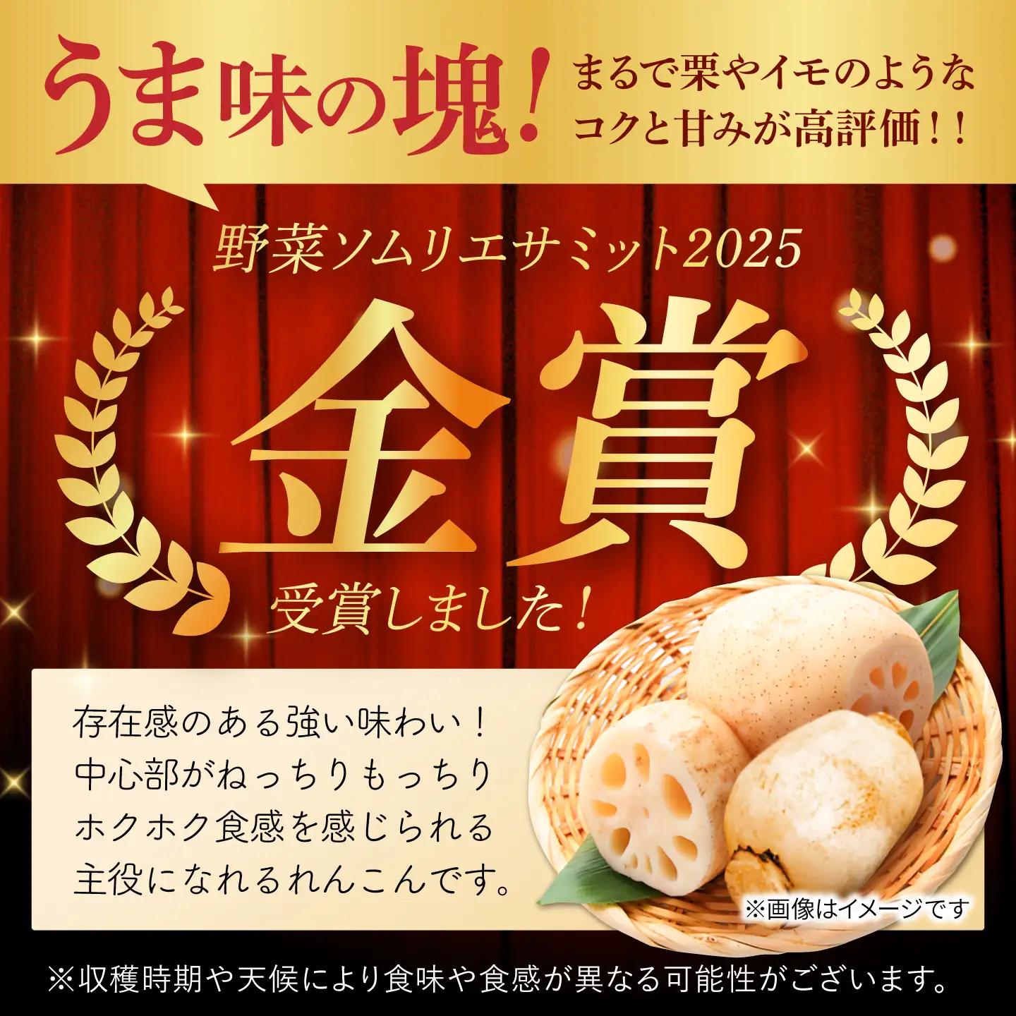 【先行予約 年末発送】れんこん 約3kg れんこん