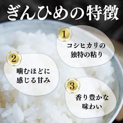 ふるさと納税 明和町 三重県産 コシヒカリ ぎんひめ 精米 5kg×2袋 (合計 10kg) |  | 02