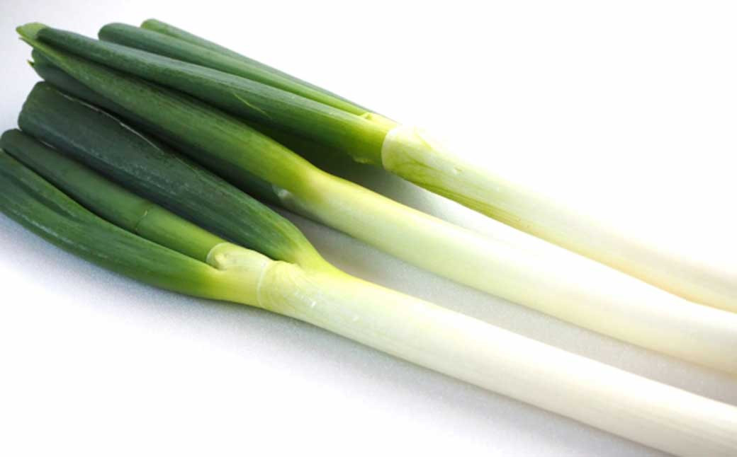 
                  先行予約 球磨美人 井上さんちの 白ネギ M × 40本 野菜 ねぎ ネギ 葱 白ねぎ 白葱 【2026年8月下旬～9月下旬迄発送予定】
                