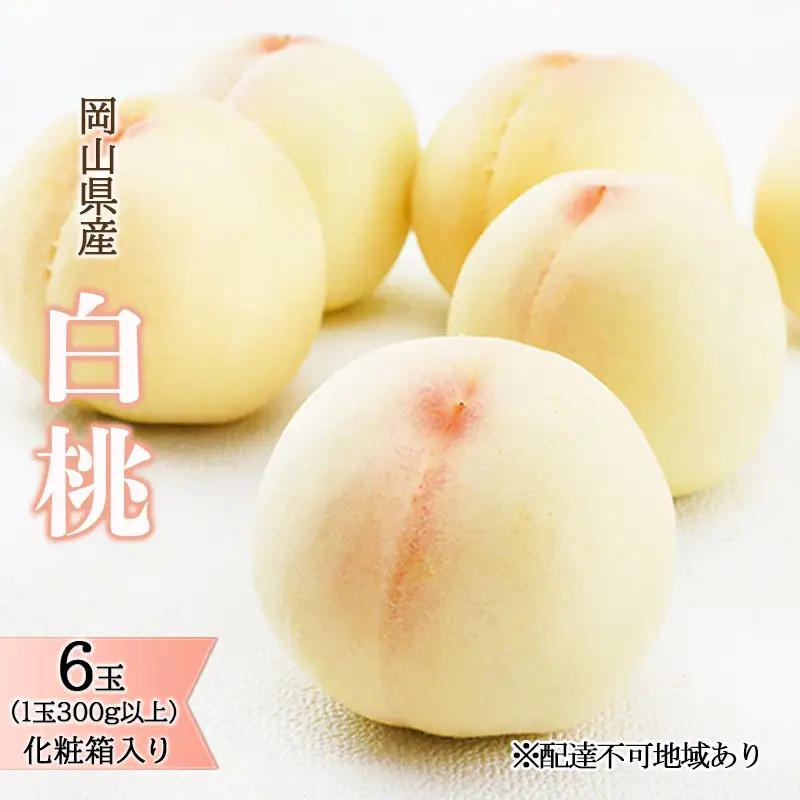 白桃 化粧箱入り 岡山県産 白桃【6玉 1玉300g以上】【先行予約】