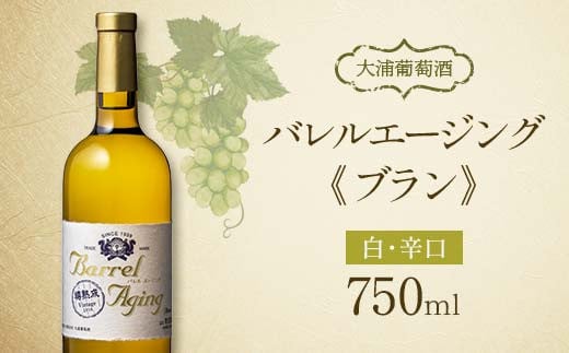 
【日本ワインコンクール2023受賞ワイン】 大浦葡萄酒 バレル エージング(ブラン) 750ml×1本 『(有)大浦葡萄酒』 白ワイン 辛口 山形県 南陽市 [1897]
