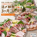 【ふるさと納税】【北海道・離島配送不可】＜定期便・全3回(連続)＞旬の鮮魚(3ヶ月コース)お刺身 お刺し身 魚介 海鮮 ブリ ぶり 鰤 シマアジ カンパチ シマアジ 真空パック お楽しみ【AP-32】【日向屋】