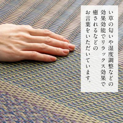 ふるさと納税 八代市 い草 茣蓙 ござ DXオルシャ 191cm×300cm 【イケヒコ・コーポレーション】(八代市) |  | 03