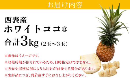 先行予約 パイナップル 沖縄 ホワイトココ(R) 3kg 2～3玉 2024年 発送 新品種 希少 パイン ココナッツに似た香り 果物 フルーツ デザート