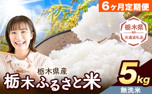 【6ヶ月定期便】米 栃木 ふるさと米 無洗米 5kg《お申込み翌月から出荷》栃木県 野木町 米  精米 国産 お米 おこめ お弁当 おにぎり【栃木県共通返礼品】