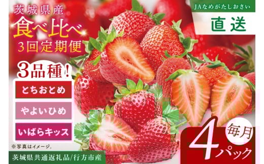 【先行予約1月から1回目発送】【茨城県共通返礼品/行方市産】食べ比べいちご・3回定期便「いばらキッス/とちおとめ/やよいひめ」(4パック入×3回) JAなめがたしおさい直送便|甘い 苺 減農薬栽培 (96-04)
