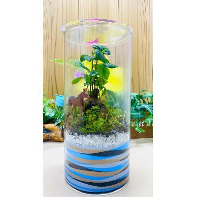 ふるさと納税 播磨町 【苔テラリウム・円筒ガラス】ちいさな苔屋さん