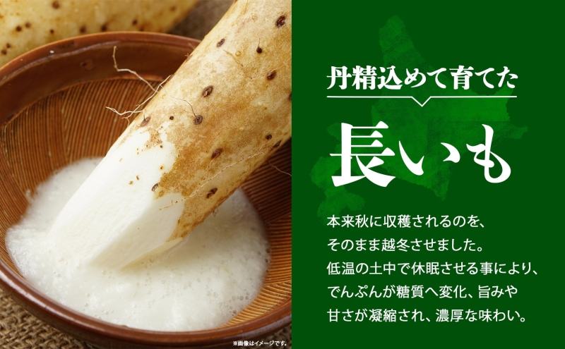 北海道産 長いも 春夏出荷 約10kg 2025年5月上旬～7月下旬お届け 長芋 ながいも とろろ 農作物 野菜 新鮮 根菜  山かけ 産地直送 お取り寄せ 送料無料 冷蔵 北海道 洞爺湖町