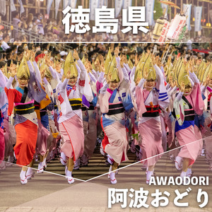 定期便6回 阿波牛 赤身焼肉セット 600g 冷凍 国産 黒毛和牛