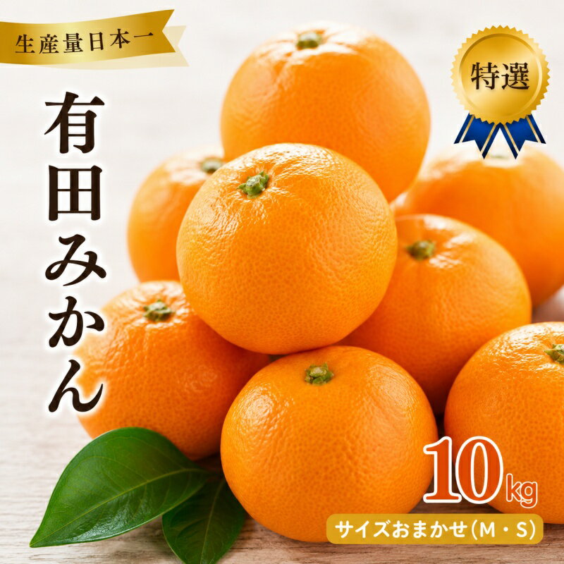 【ふるさと納税】 特選 紀州 有田 みかん 10kg サイズおまかせ(М・S) / 温州みかん 有田みかん 甘い 高級 和歌山 柑橘 ※2026年12月上旬～下旬頃発送予定