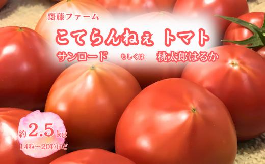 【期間限定】こてらんねぇトマト 14～20粒（約2.5kg・サンロードor桃太郎はるか）