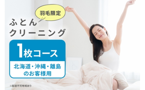 [No.5895-0593]ふとんクリーニング 1枚 （羽毛限定） 北海道・沖縄・離島可