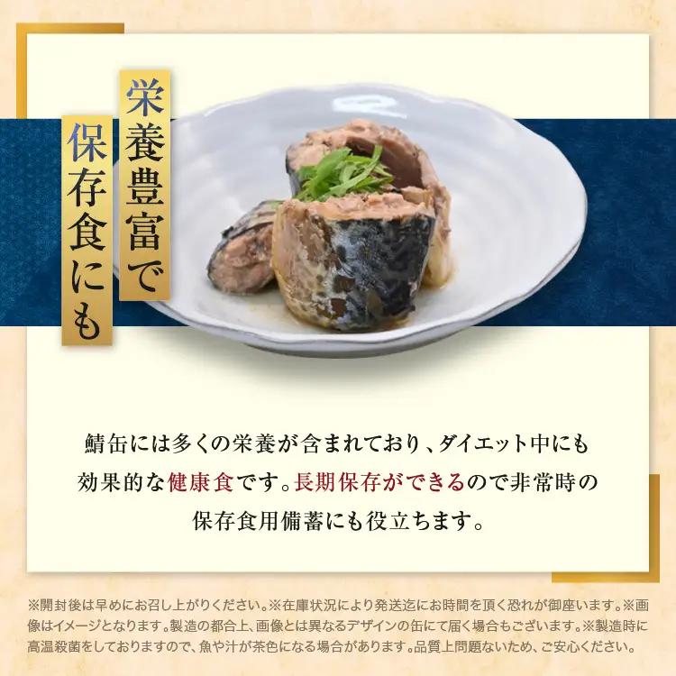 さば 缶詰 水煮 24缶 国産 さば缶 _AL002