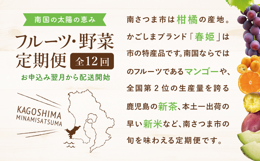 ★2025年2月開始★【定期便】南国の恵み 旬のフルーツ・野菜定期便（全12回）  鹿児島県産 果物 フルーツ 柑橘 野菜 お茶 米 コシヒカリ ぶどう 巨峰 マンゴー メロン 定期便