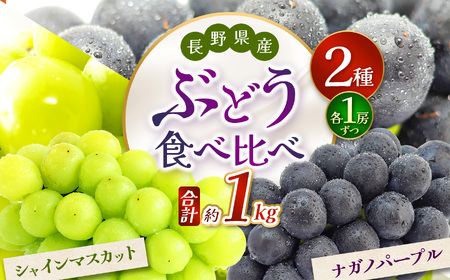 【2026年先行予約】シャインマスカット・ナガノパープル 約1kg (2房)【9月下旬～10月下旬にかけて順次発送予定】