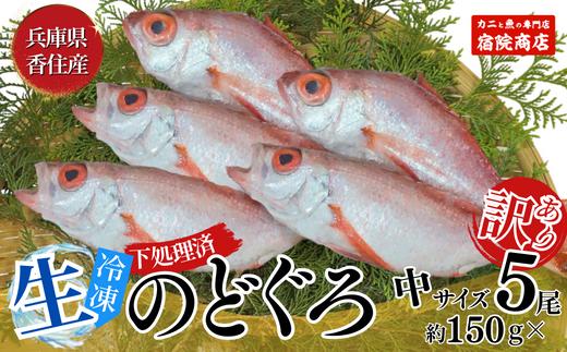 【調理済 香住産のどぐろ中5匹(生･冷凍) 1匹約150g前後 計約700～800g】3月下旬以降発送予定  日本海で水揚げ 鮮度抜群、脂乗りの良いノドグロを急速冷凍 細胞を壊さず、食品の美味しさをキープ 白身のトロ 産地直送 兵庫県 香美町 香住 柴山 山陰 大人気 ふるさと納税 送料無料 宿院商店 19000円 33-30