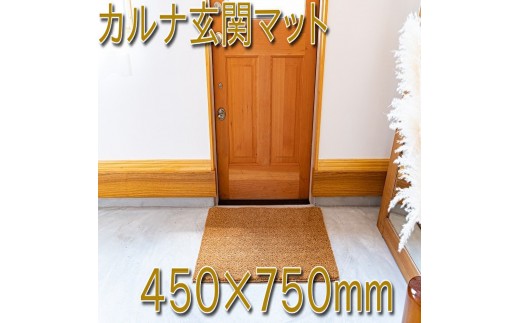 ココヤシ玄関屋外泥・砂落としカルナマット（M）450×750mm