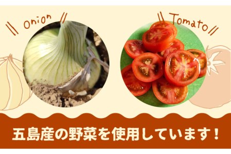 【五島牛と五島産の食材を使用】こだわりの五島ハヤシ10箱セット 化学調味料・着色料不使用 創作郷土料理いつき 五島市/出口さんご [PBK018]