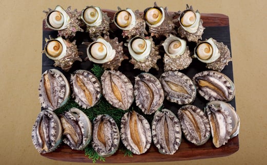 A179a 九十九島あわび(1,200g)･さざえ(1,200g)