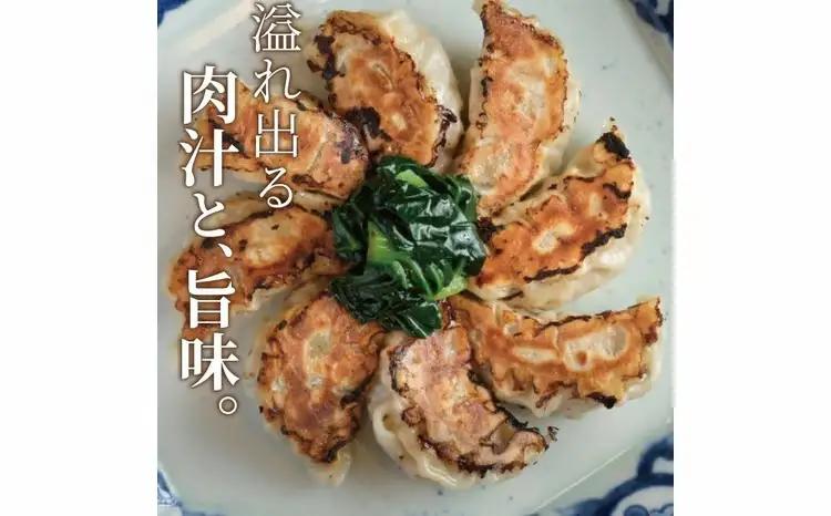 文菜華 ノンメタポーク100％使用の生冷凍餃子20個 〈 冷凍 餃子 冷凍食品 冷凍餃子 豚肉 ごはん 白米 中華 美味しい 人気 文菜華 〉