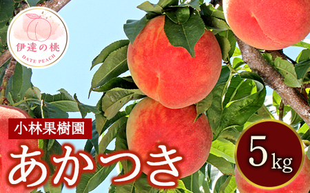 福島県産 あかつき 5kg 2025年7月下旬～2025年8月上旬発送 2025年出荷分 先行予約 予約 伊達の桃 桃 もも モモ 果物 くだもの フルーツ 名産品 国産 食品  F20C-591