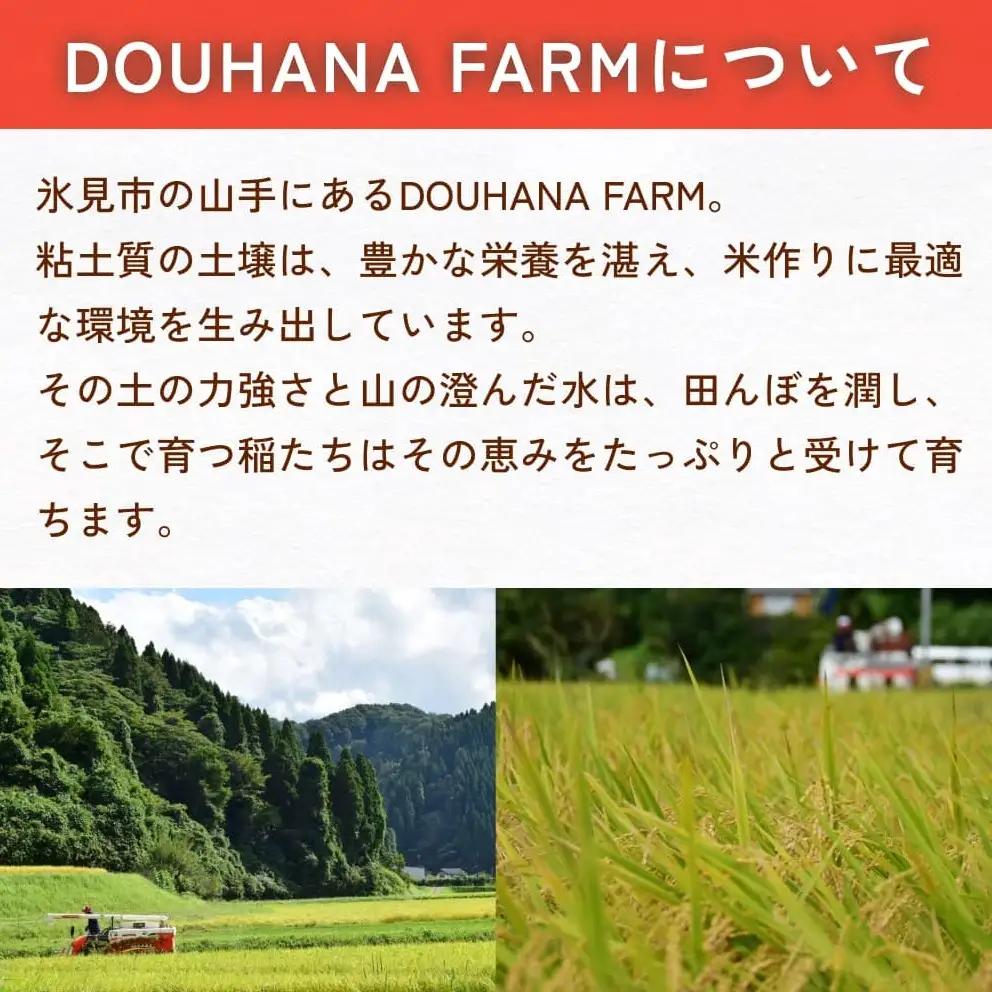 米 令和7年産 富山県氷見産 コシヒカリ 玄米 5kg 