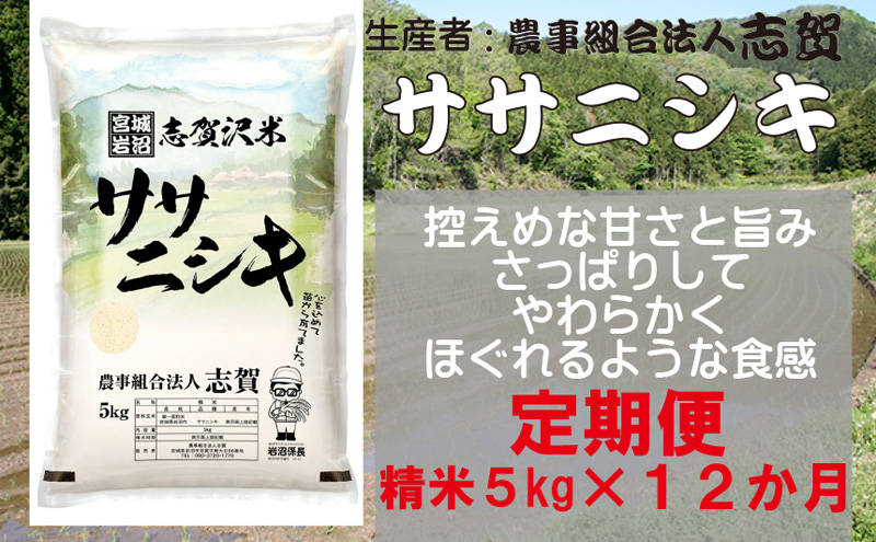 【12ヶ月定期便】宮城県岩沼市産 志賀沢米 ササニシキ 精米5kg