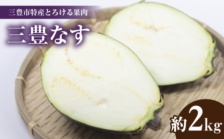 【ふるさと納税】【先行予約】三豊市特産とろける果肉「三豊なす」約2kg
