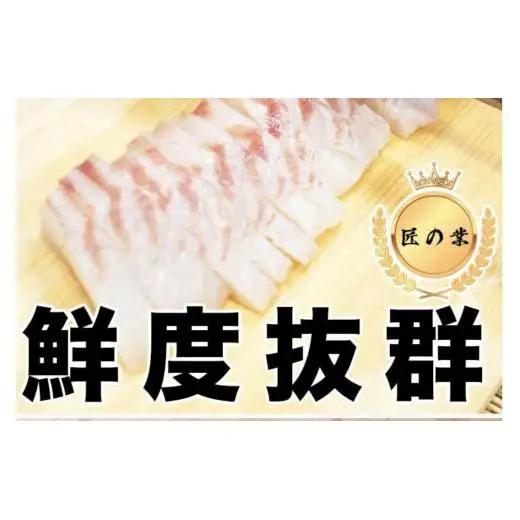 【 須崎真鯛 】 須崎真鯛2匹分