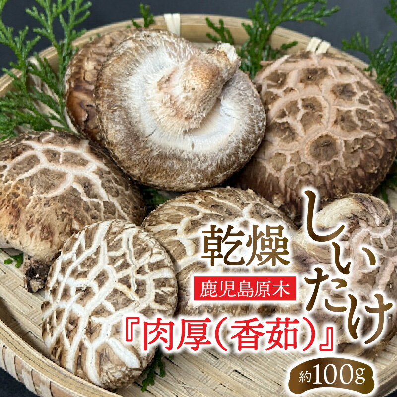 【ふるさと納税】鹿児島原木 乾燥しいたけ 肉厚 香茹 約100g しいたけ 肉厚 椎茸 きのこ 野菜 肉厚椎茸 炊き込みご飯 角煮 タコス 美味しい プラナート 鹿児島 おすすめ ランキング プレゼント ギフト