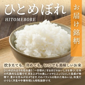 1329R07M04c　遊佐町産ひとめぼれ5kg（令和7年産米）4月下旬