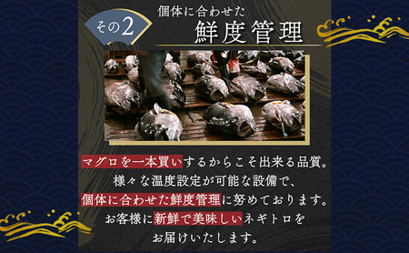 まぐろ 天然まぐろ ネギトロ 1.2kg セット 詰め合わせ まぐろ