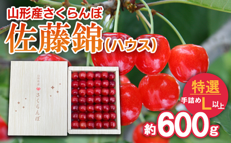 さくらんぼ 佐藤錦 (ハウス) 特選 手詰め L以上 約600g 【令和8年産先行予約】FS25-709 くだもの 果物 フルーツ 山形 山形県 山形市 2026年産