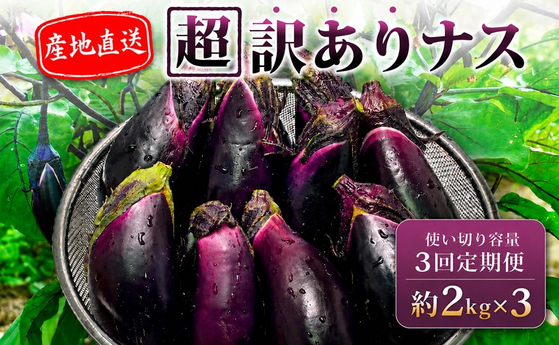 
                  【先行受付】 【3回定期】 安田町産 「超」 訳あり ナス なす なすび 2kg×3回 定期便 新鮮 野菜 茄子 産地直送 季節限定 夏野菜 ふるさと納税茄子 ふるさと納税なすお漬物 漬物 味噌汁 みそ汁 マーボーナス 麻婆ナス 麻婆茄子 煮びたし 天ぷら フライ はさみ揚げ 煮浸し 焼なす やきなす 焼きナス わけあり 傷 きず 不揃い B級品 伏流水 高知 安田町 安田川 清流 YM-2100
                