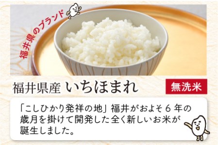 【令和7年産】 福井県のブランド米 いちほまれ 無洗米 4kg（2kg × 2袋） 無洗米 人気 品種 ブランド米 特A  [A-6174] 