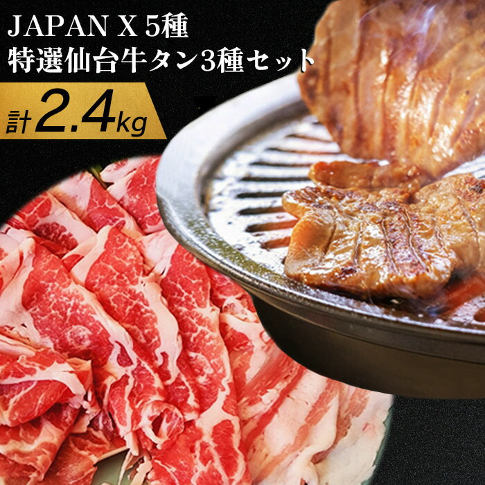【ふるさと納税】JAPANX5種と特選仙台牛タン3種セット JAPANX ロース 肩ロース バラ モモ 小間 仙台牛タン 塩 味噌 醤油 計2.4kg 豚肉 牛肉 JAL機内食 食材王国みやぎ 大賞受賞 ふるさと納税 宮城県 白石 白石市【04154】