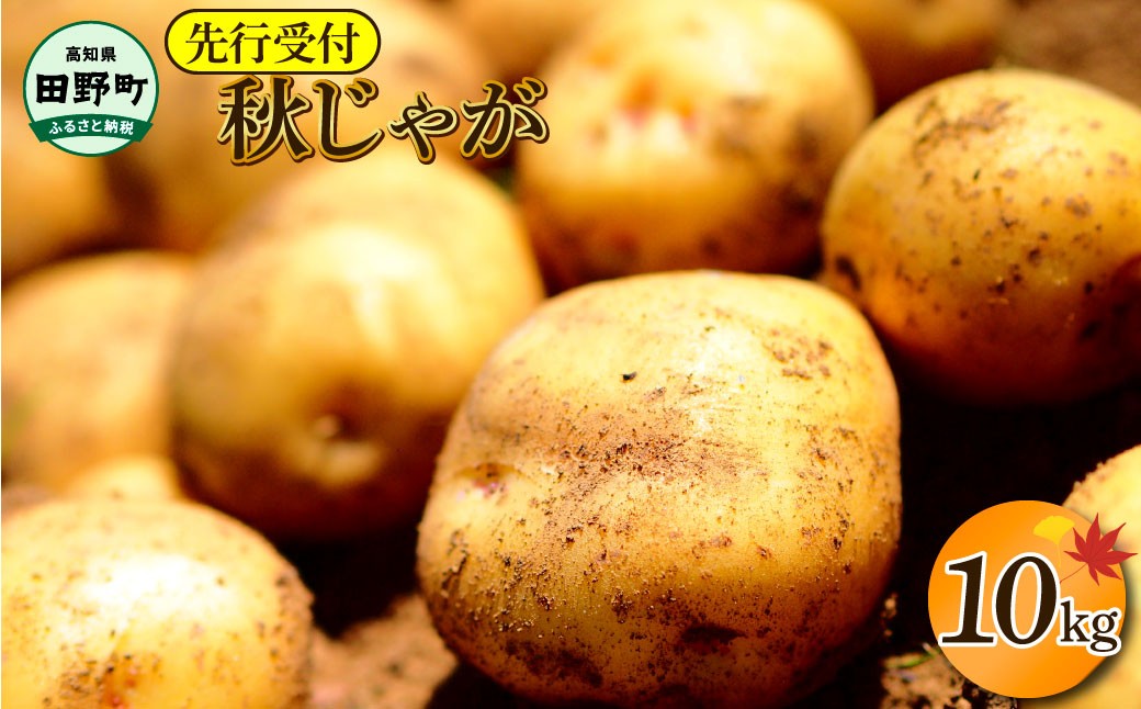 
                  【四国一小さなまちのじゃがいも】★令和8年11月下旬発送開始★ 大野台地で採れた『 令和8年産 秋じゃが 』 10kg
                